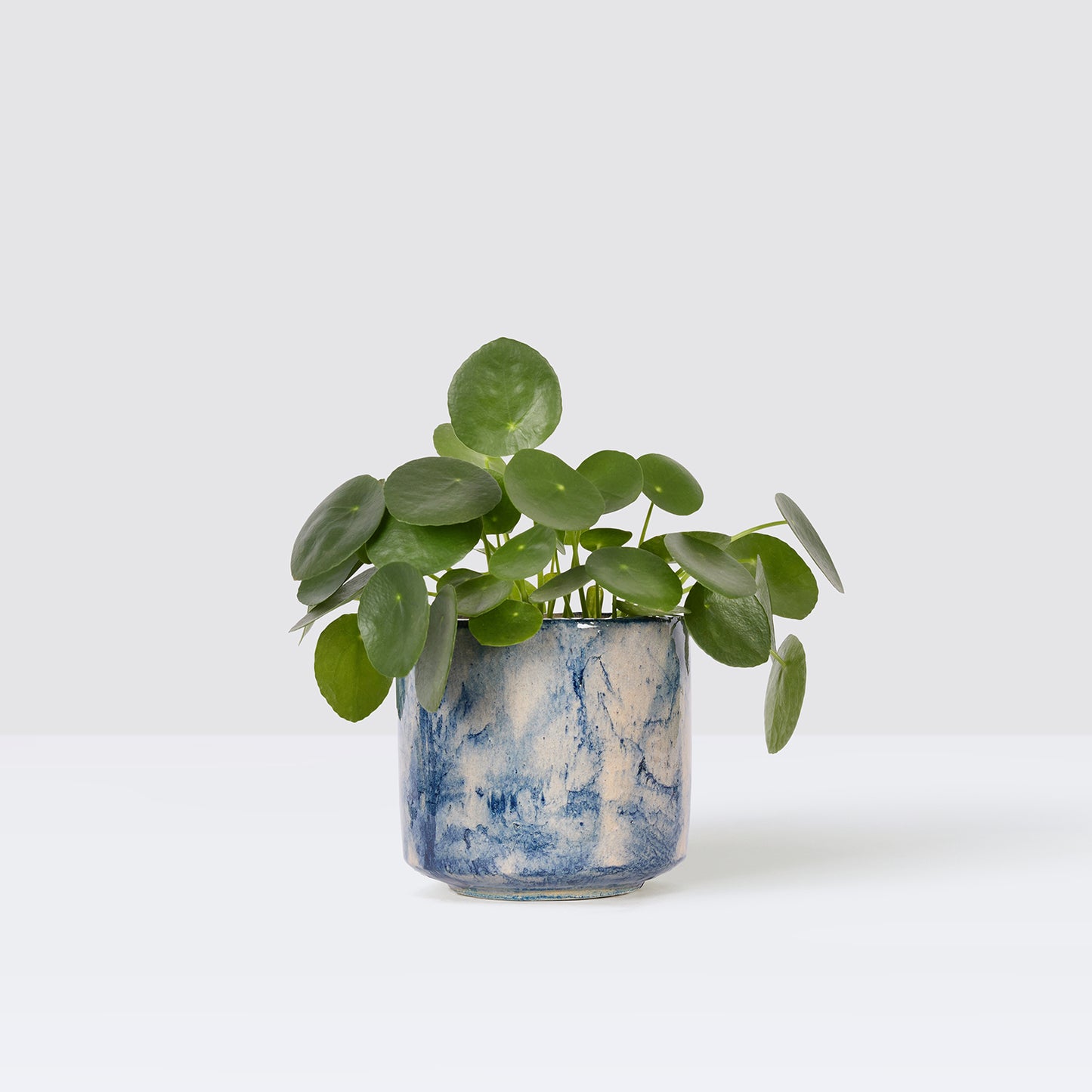 penny pot