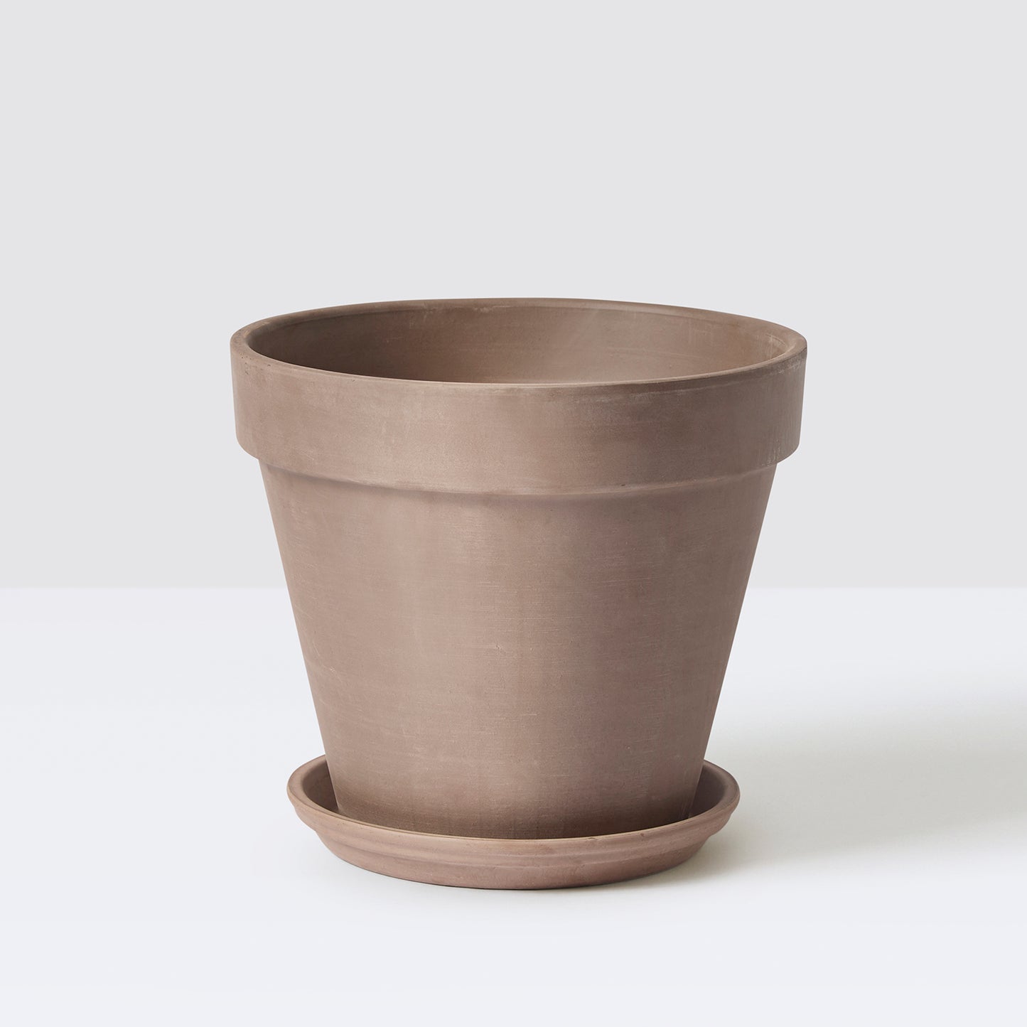 Terracotta pot with saucer | Patch Plants