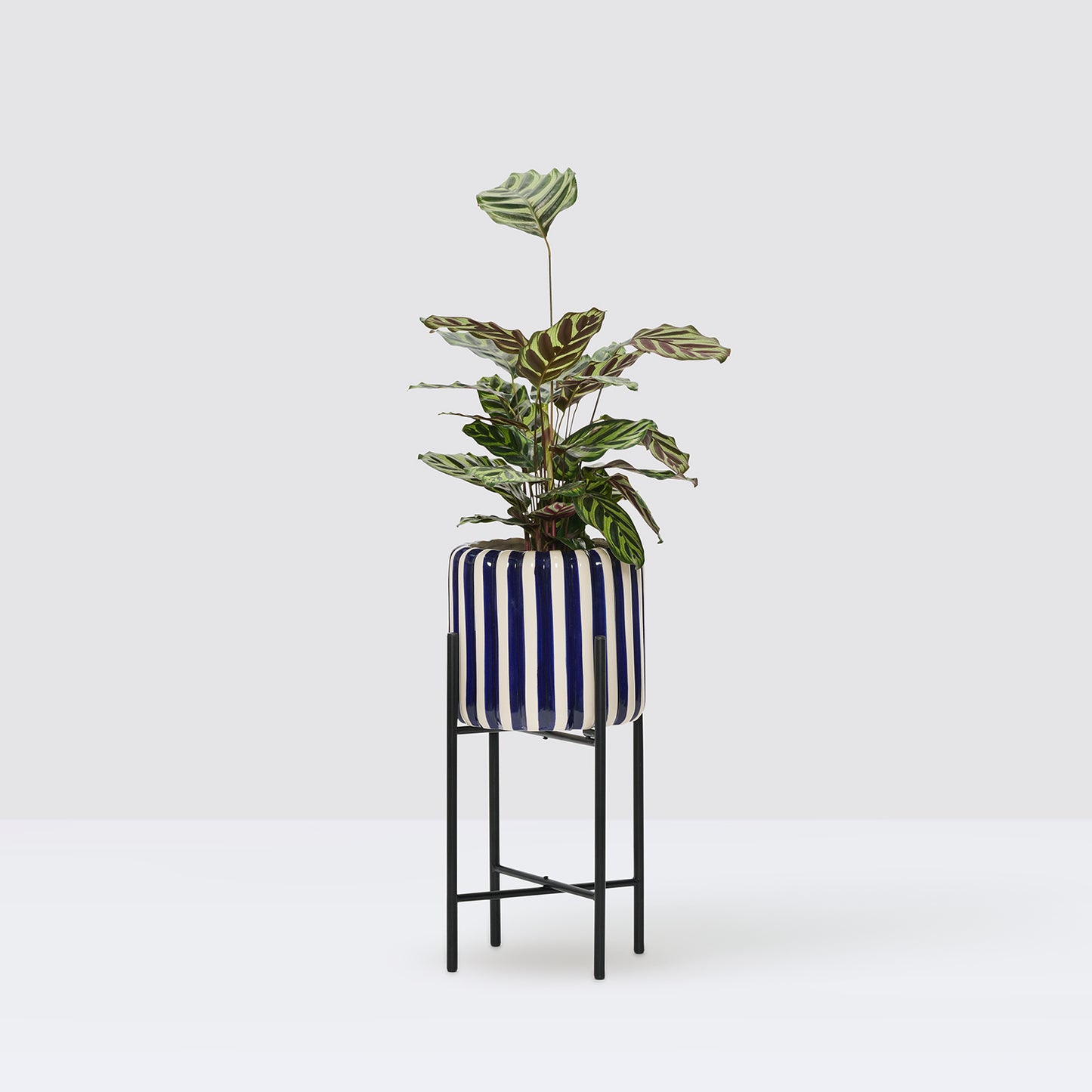 Plant stand metal | Patch Plants