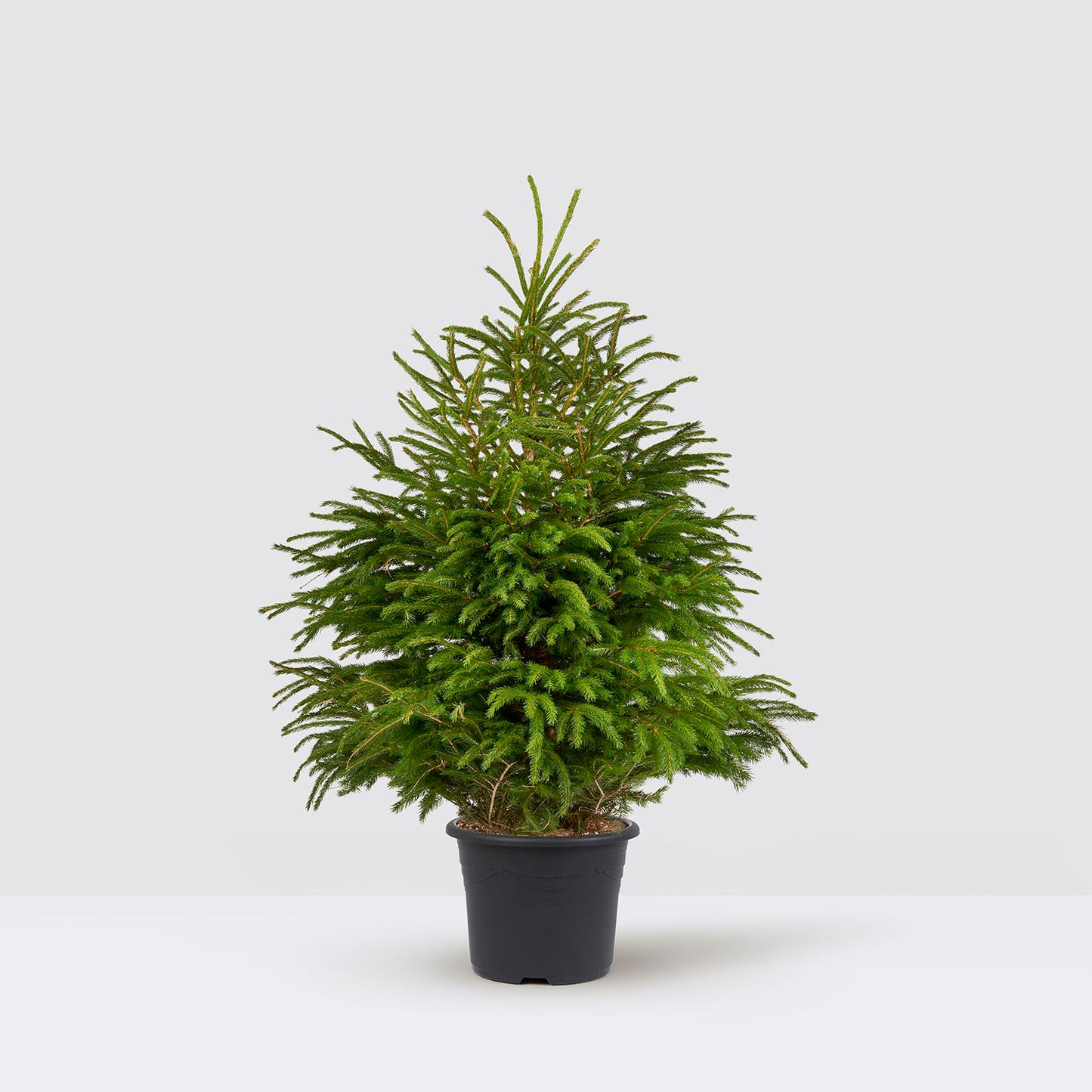 nursery