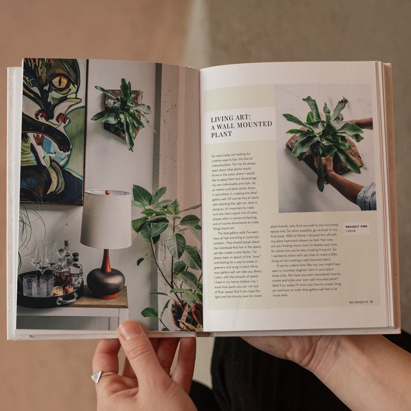 Wild Creations book