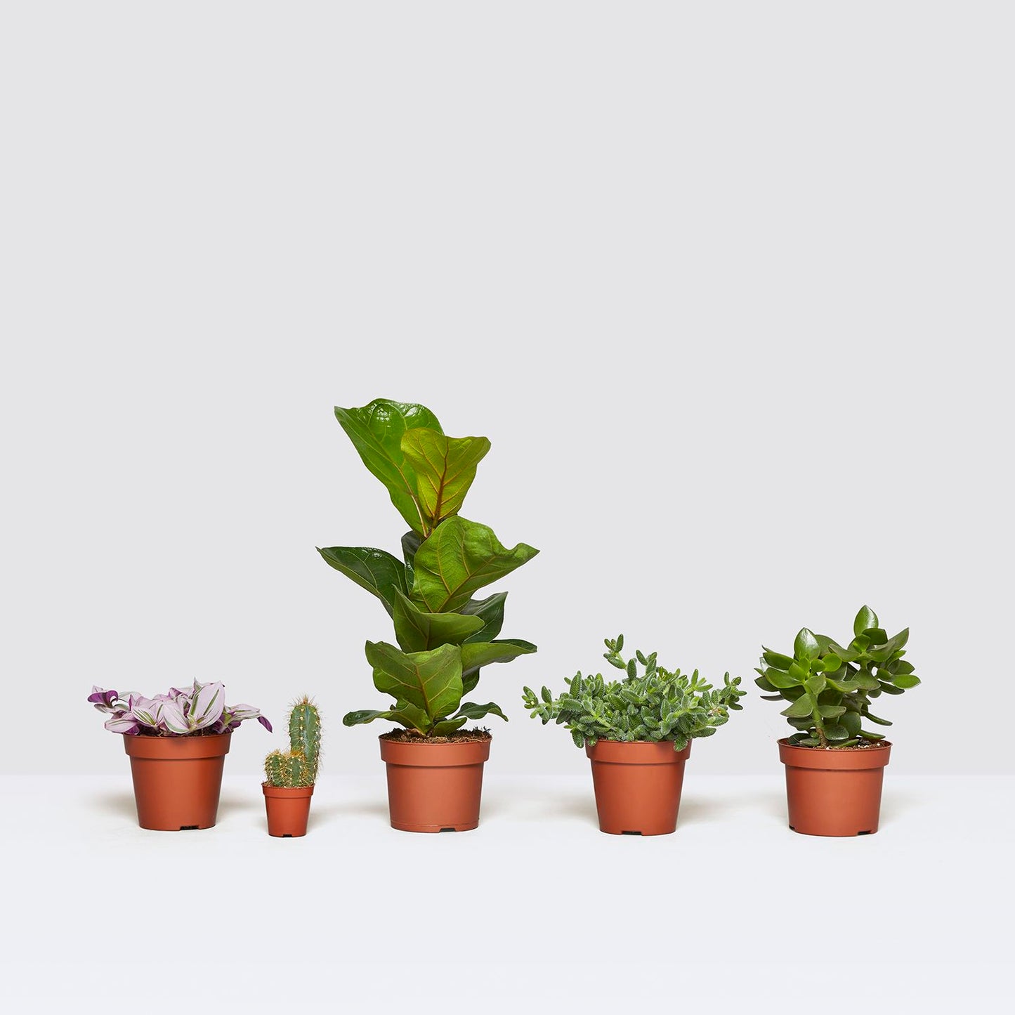Windowsill set