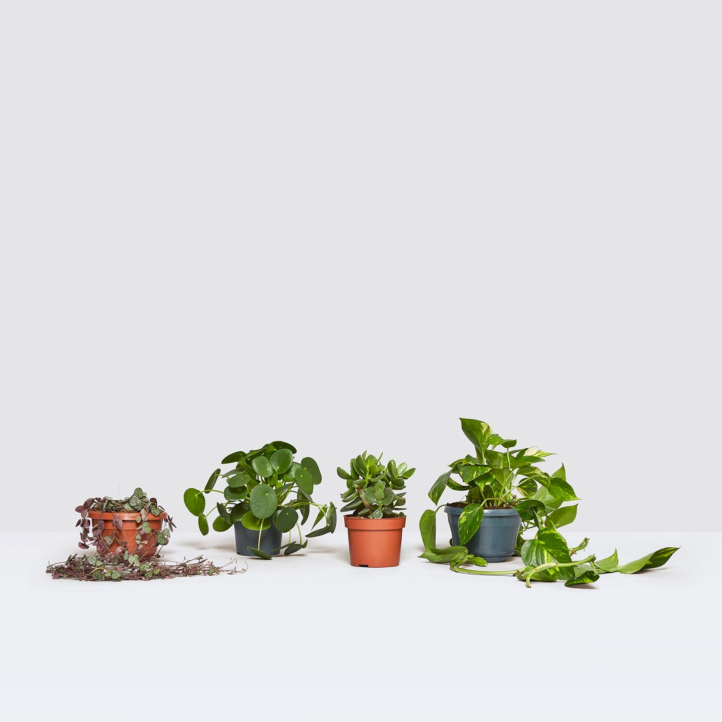 Shelf set