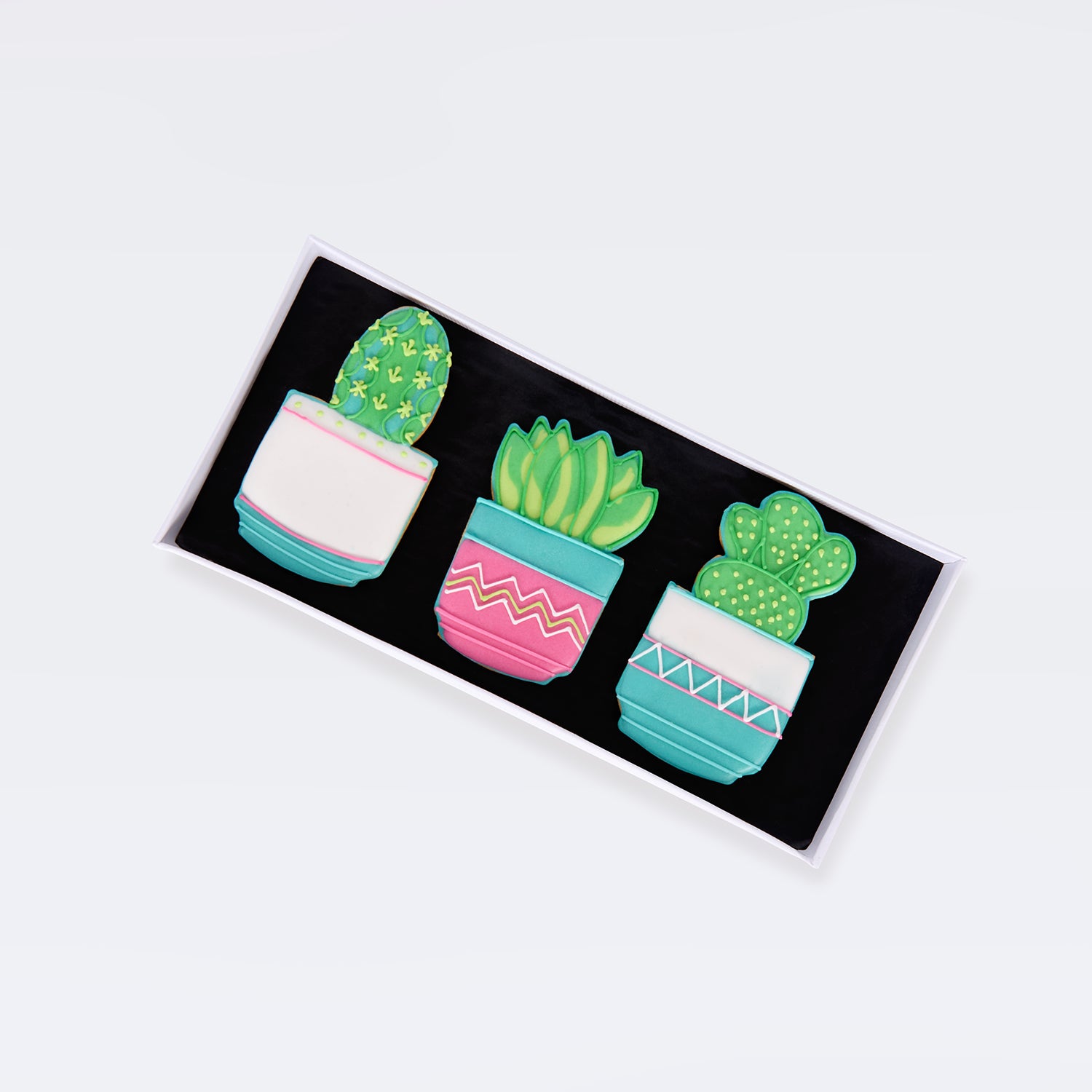 cacti