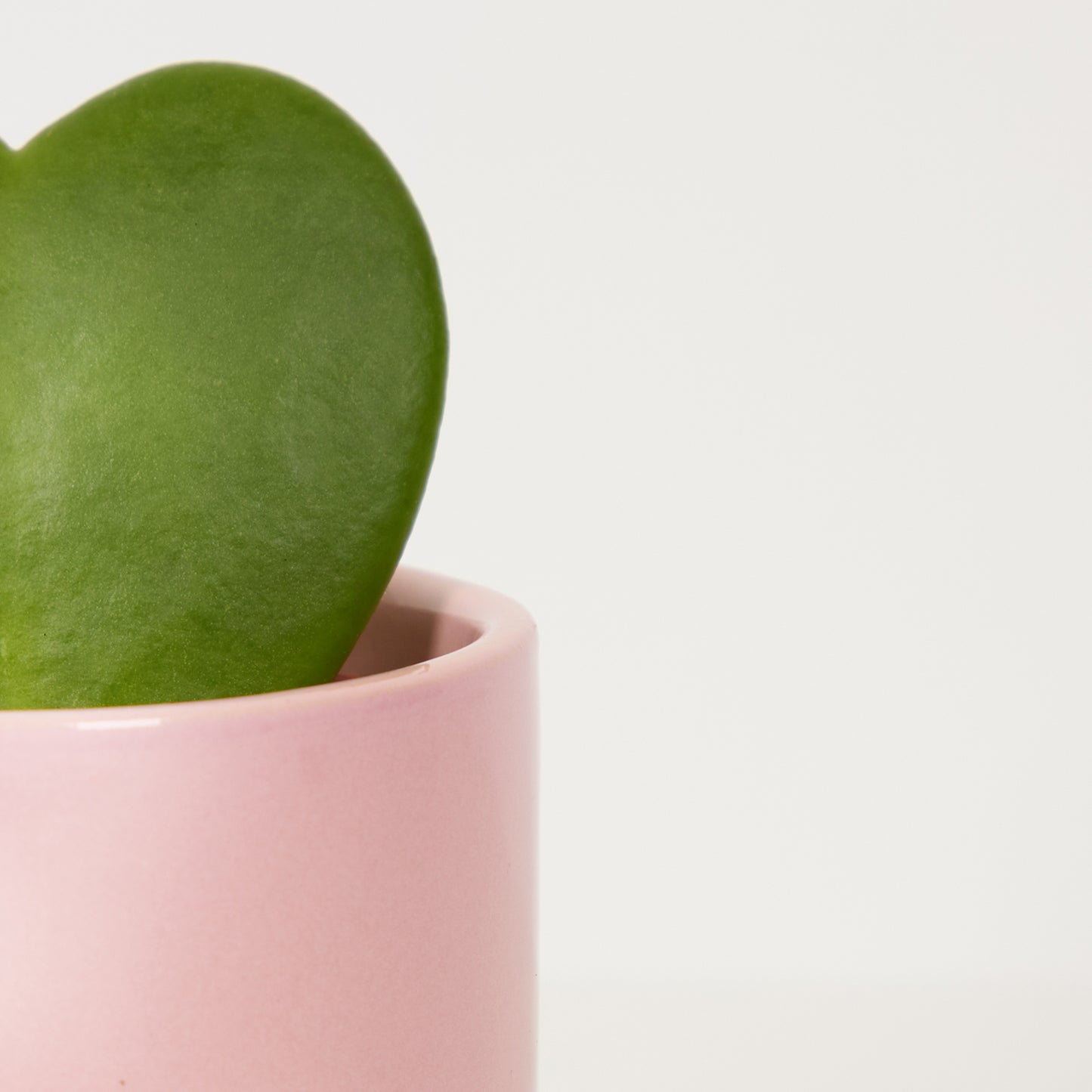 Val in Dipped tumbler pot