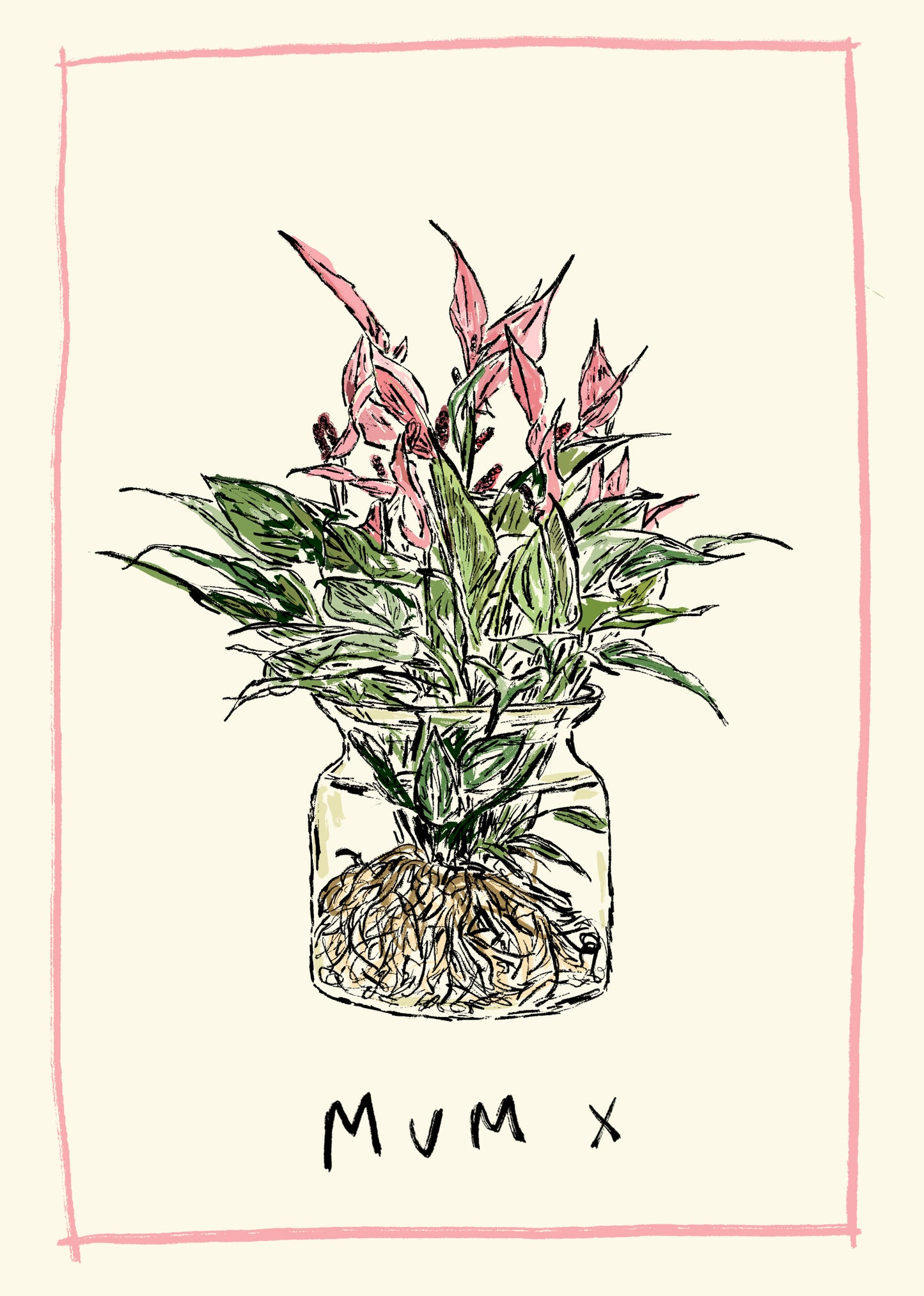 Greeting Cards