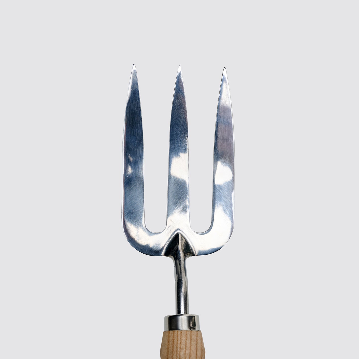 Fork | Patch Plants