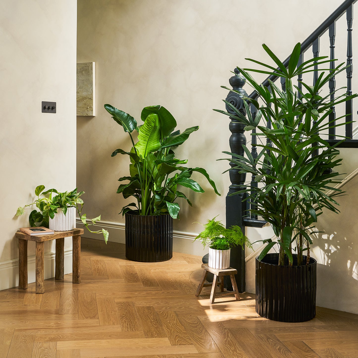 Groove pot | Patch