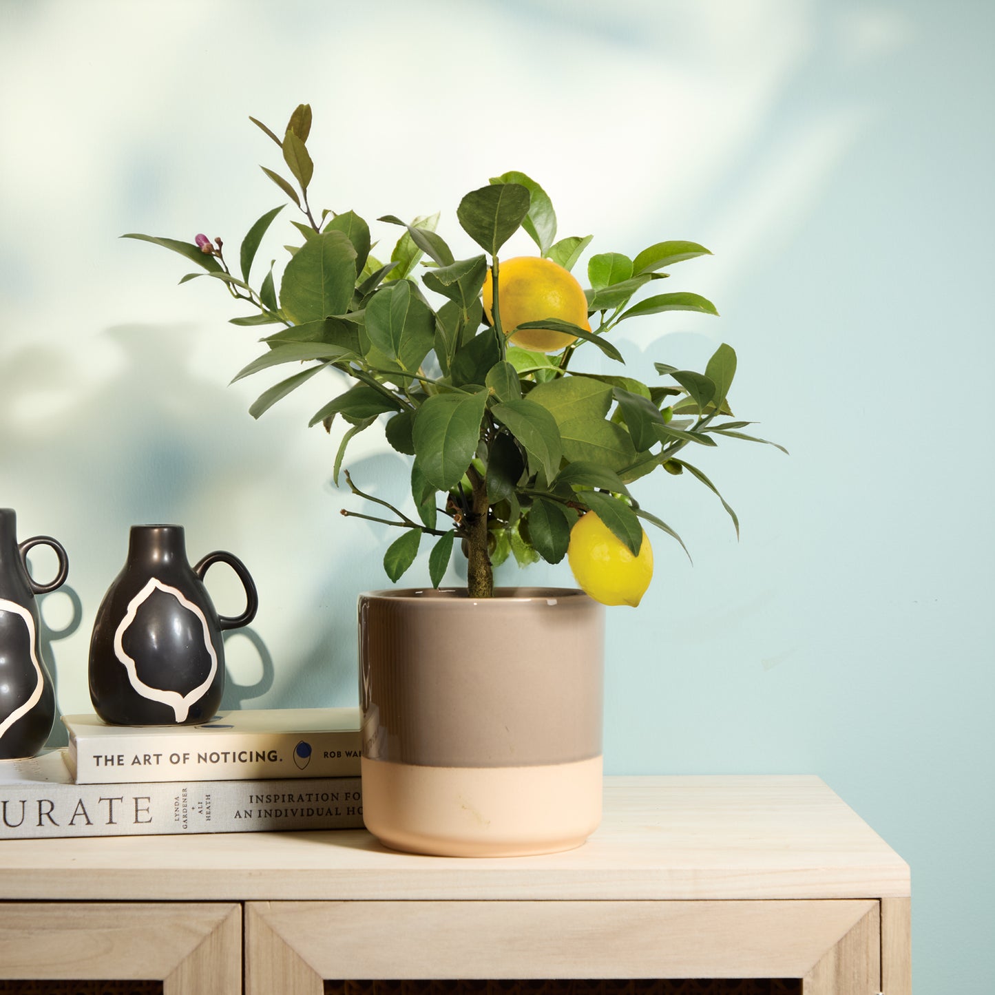 Vivi & Mushroom Dipped tumbler pot