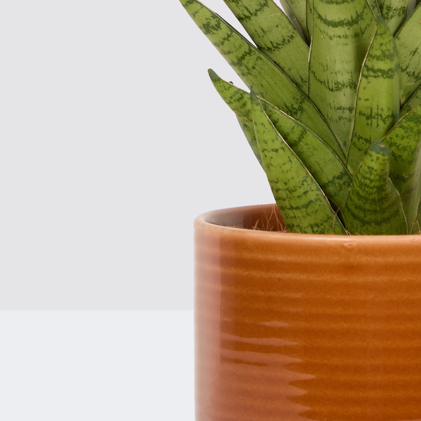Mandy & Rust Ceramic glazed pot