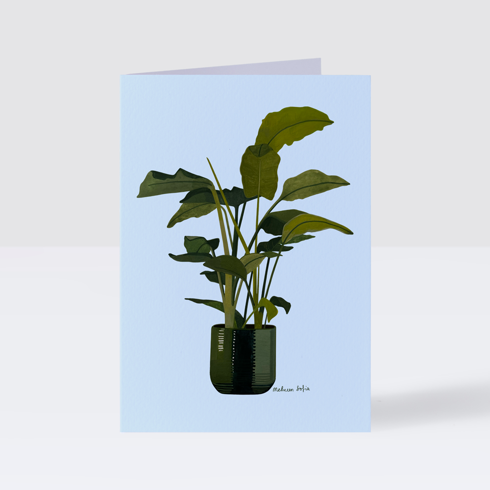 Greeting Cards