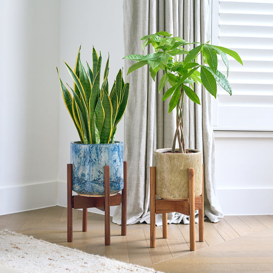 Plant stand