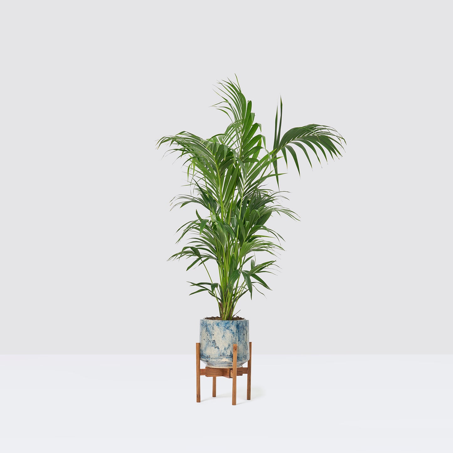 Plant stand