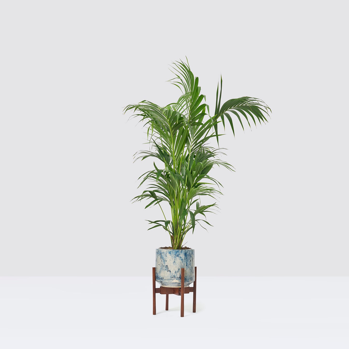 Plant stand