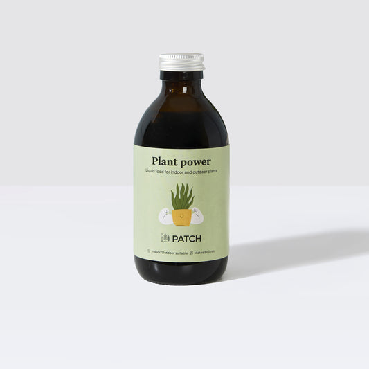 Plant food
