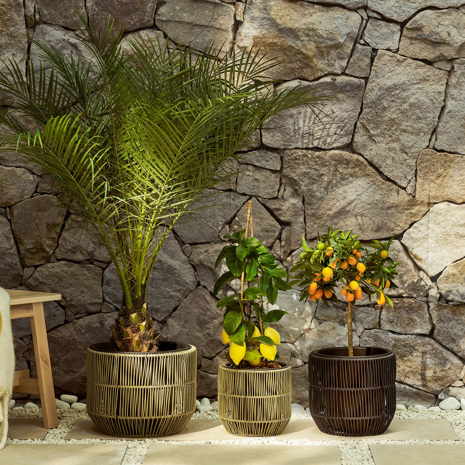 Recycled polyrattan pot | Patch Plants