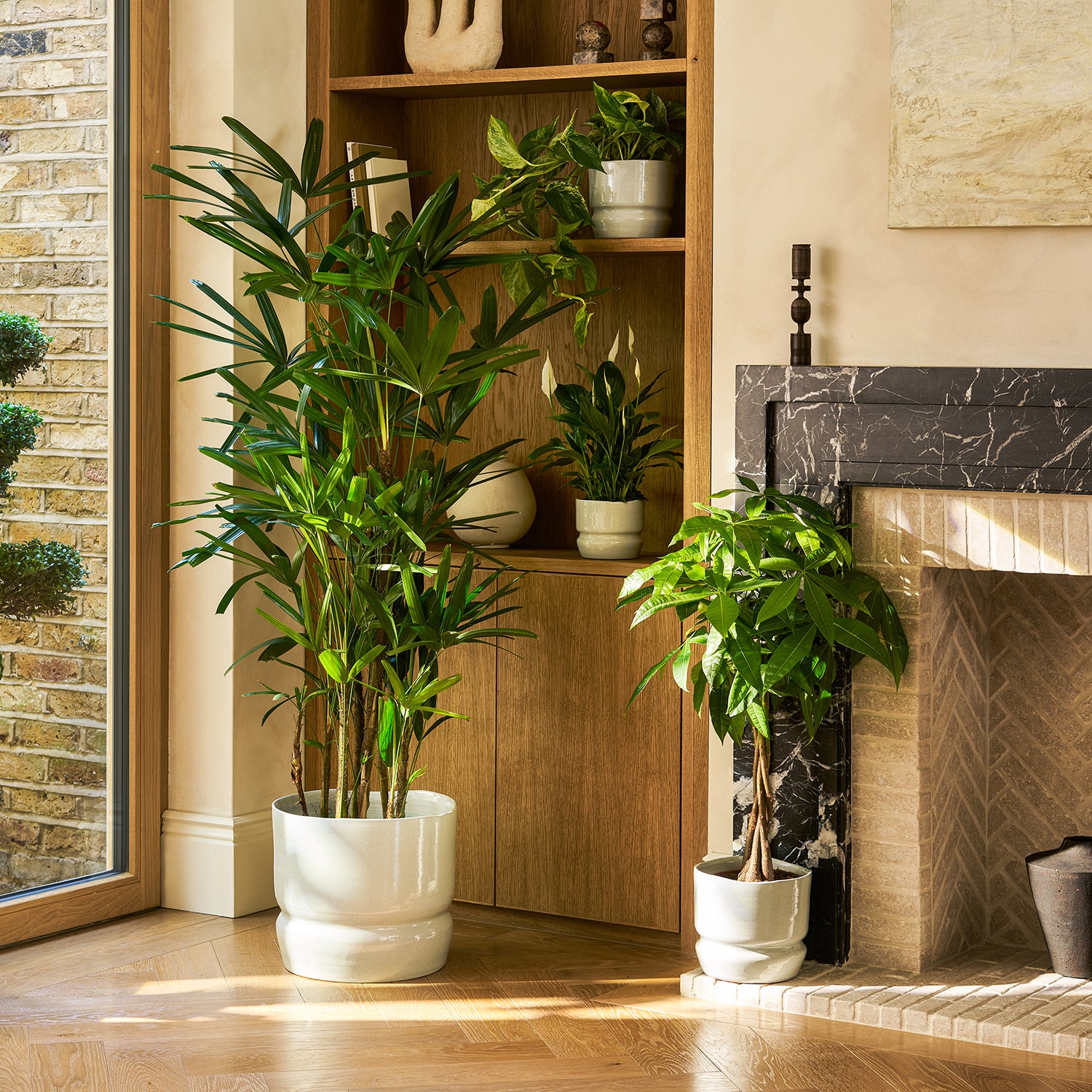 Ring pot | Patch