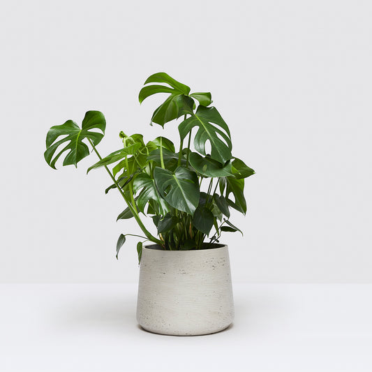 [Selfridges] Chaz-70-80,-Fracture stone 22