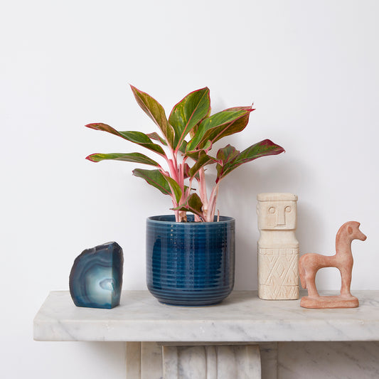 [Selfridges] - Aggie 20-30, Ceramic glaze blue 13