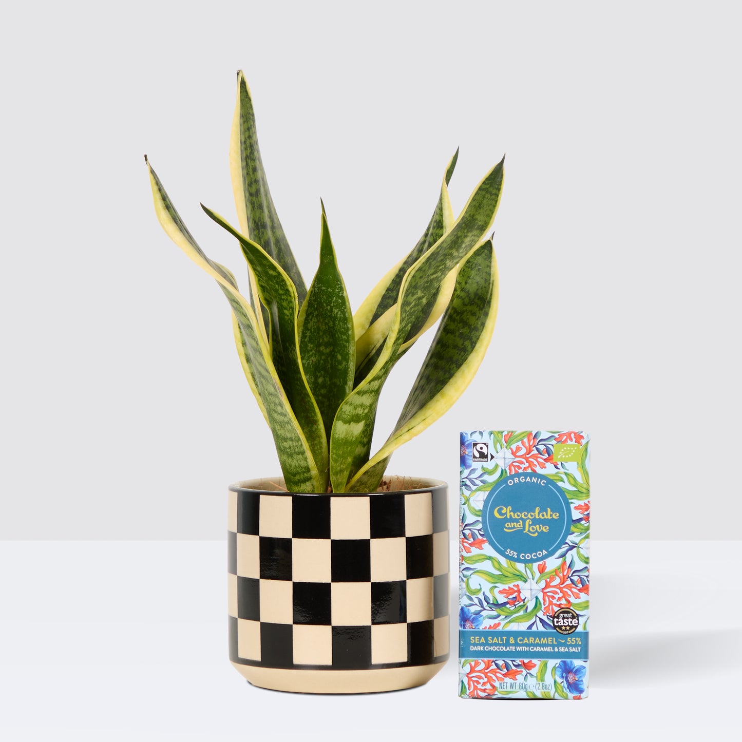 Susie, Black Chess pot & chocolate