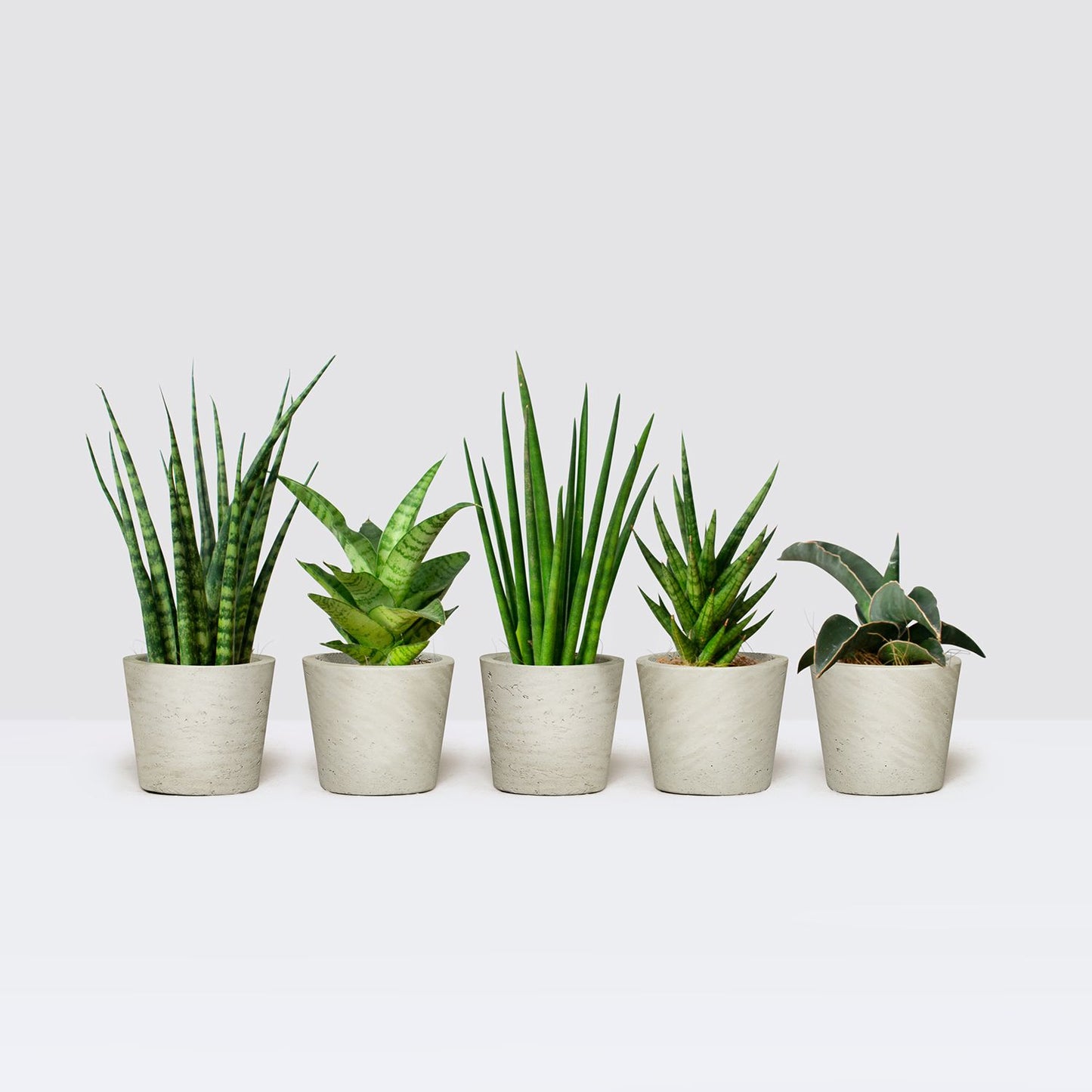 Mini unkillables set