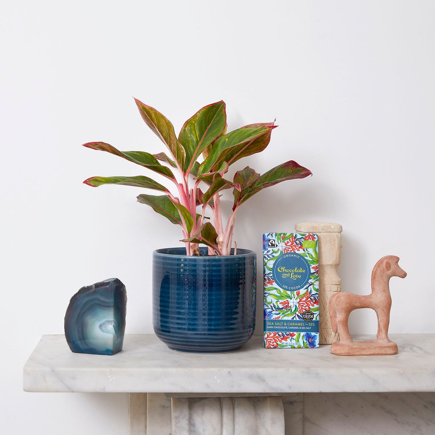 Aggie, pot & chocolate