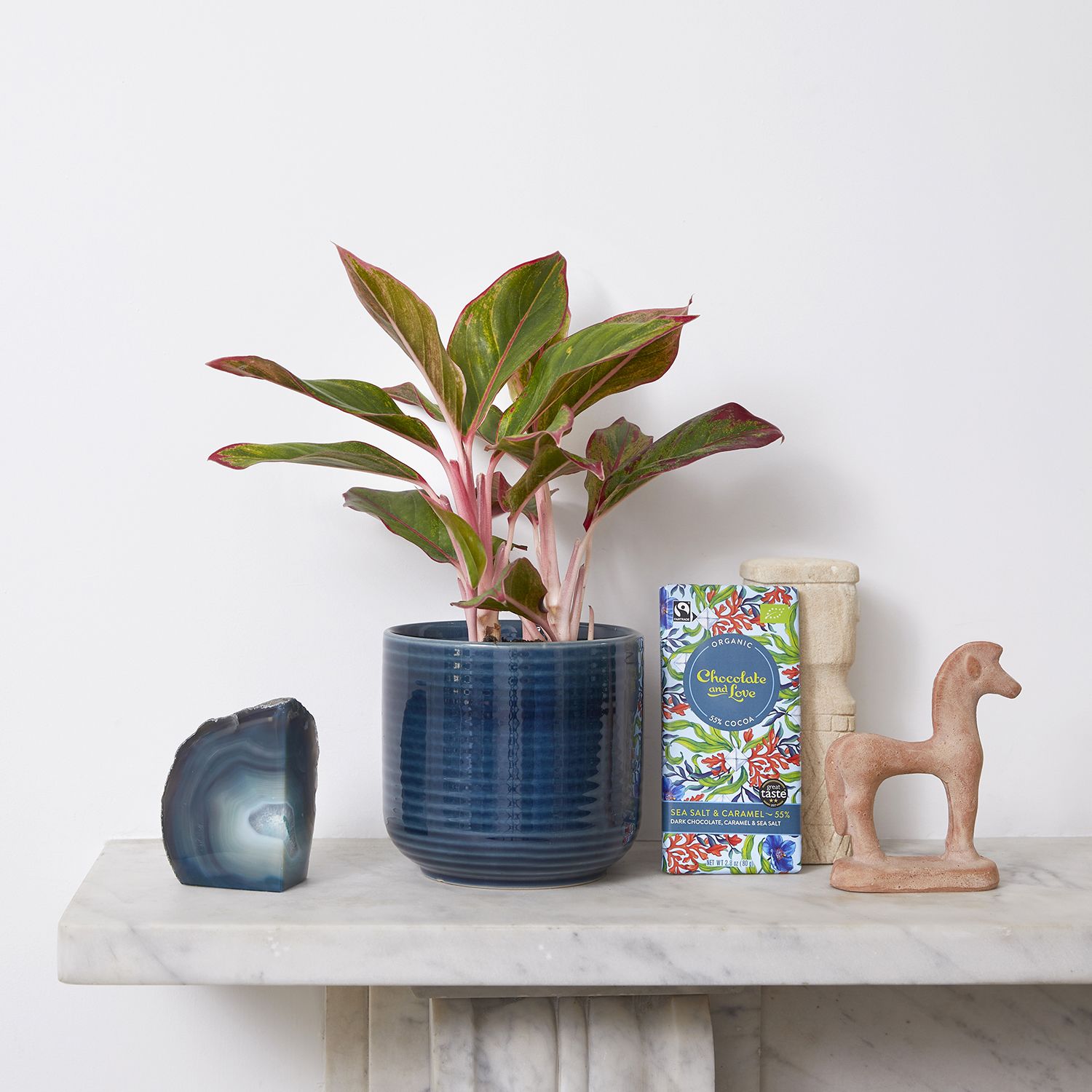 Aggie, pot & chocolate