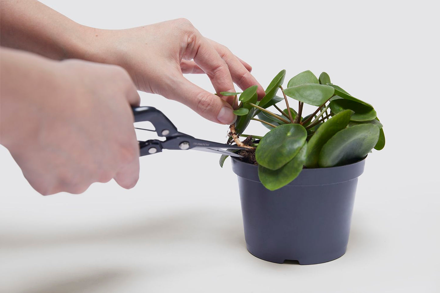 Propagation set