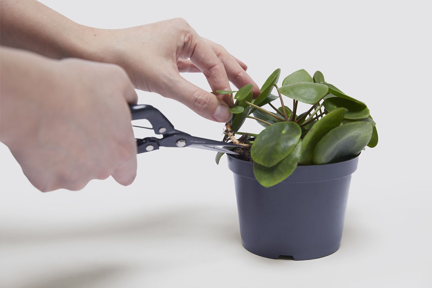 Propagation set