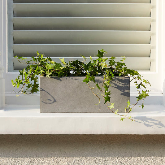 Ivy windowsill set