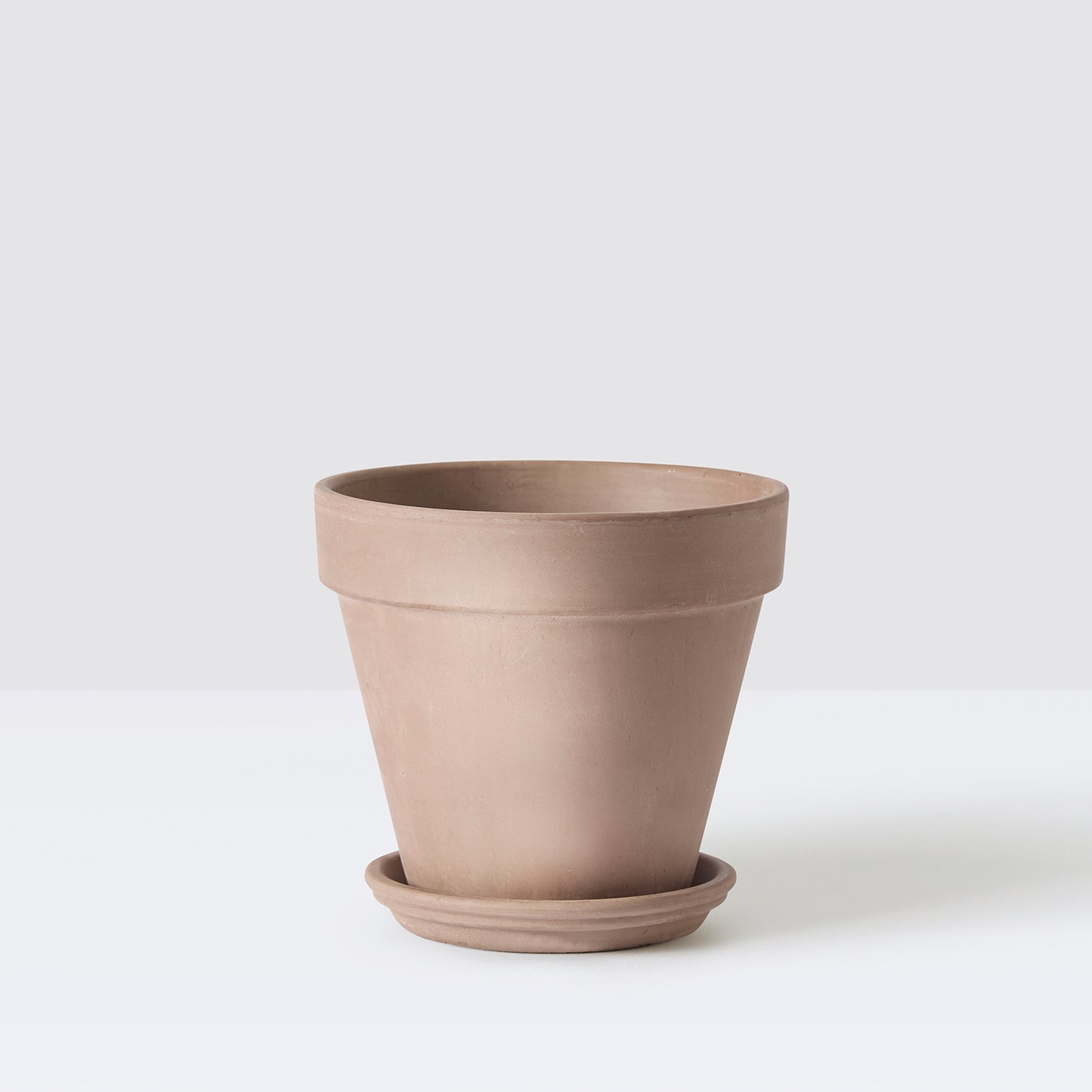 Terracotta pot with saucer | Patch Plants 