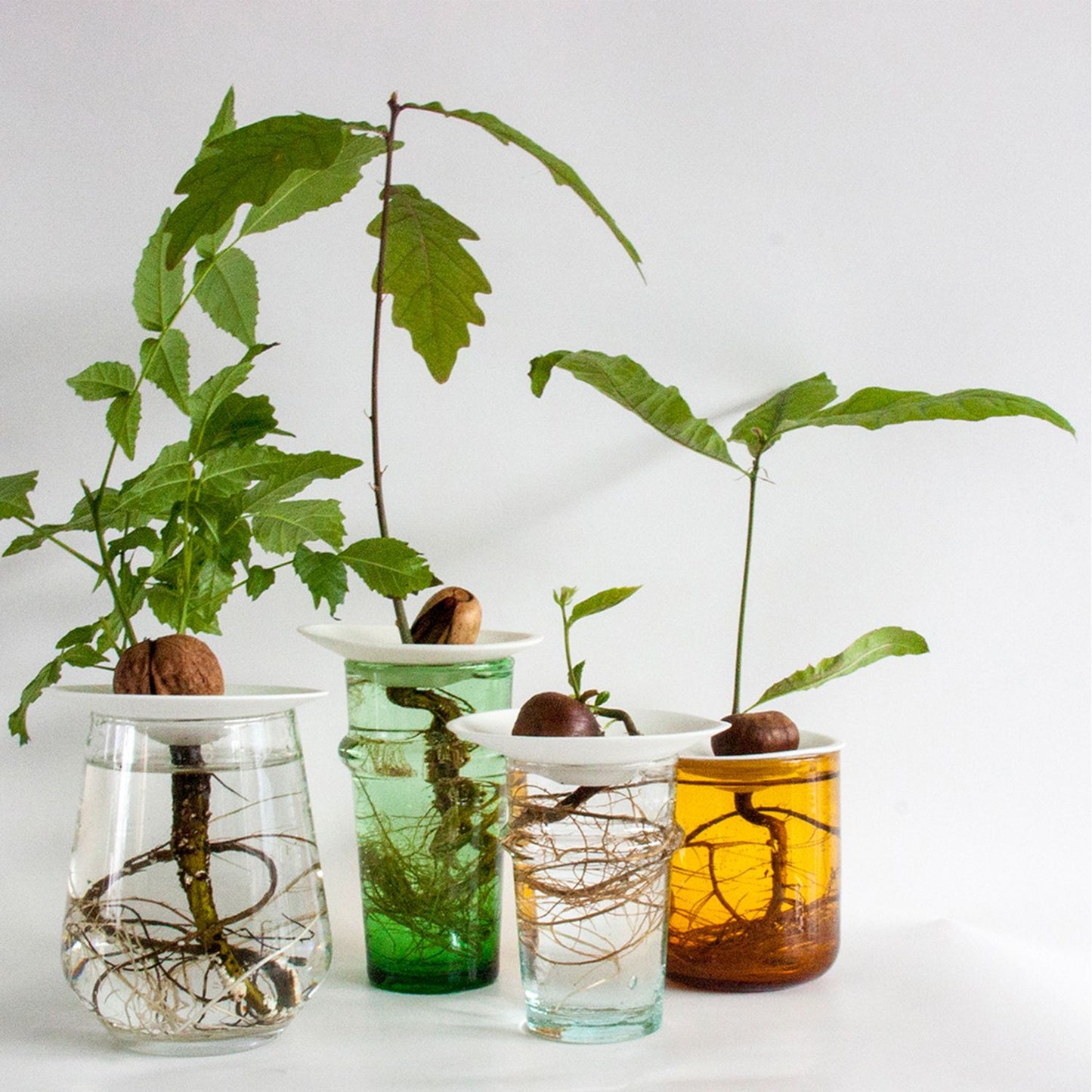 Propagation plate