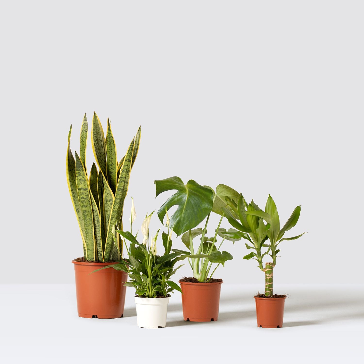 Easy care set