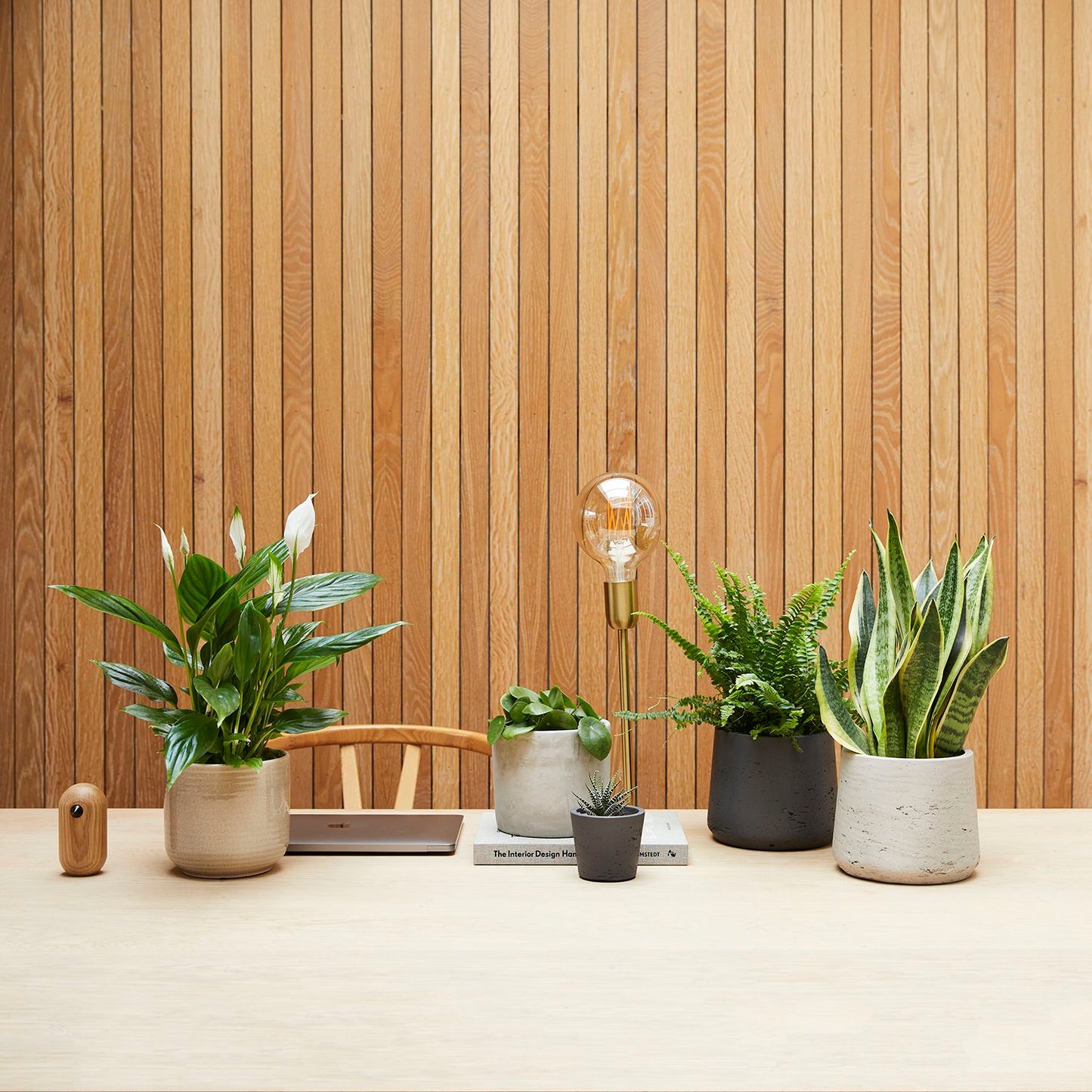 Desktop set