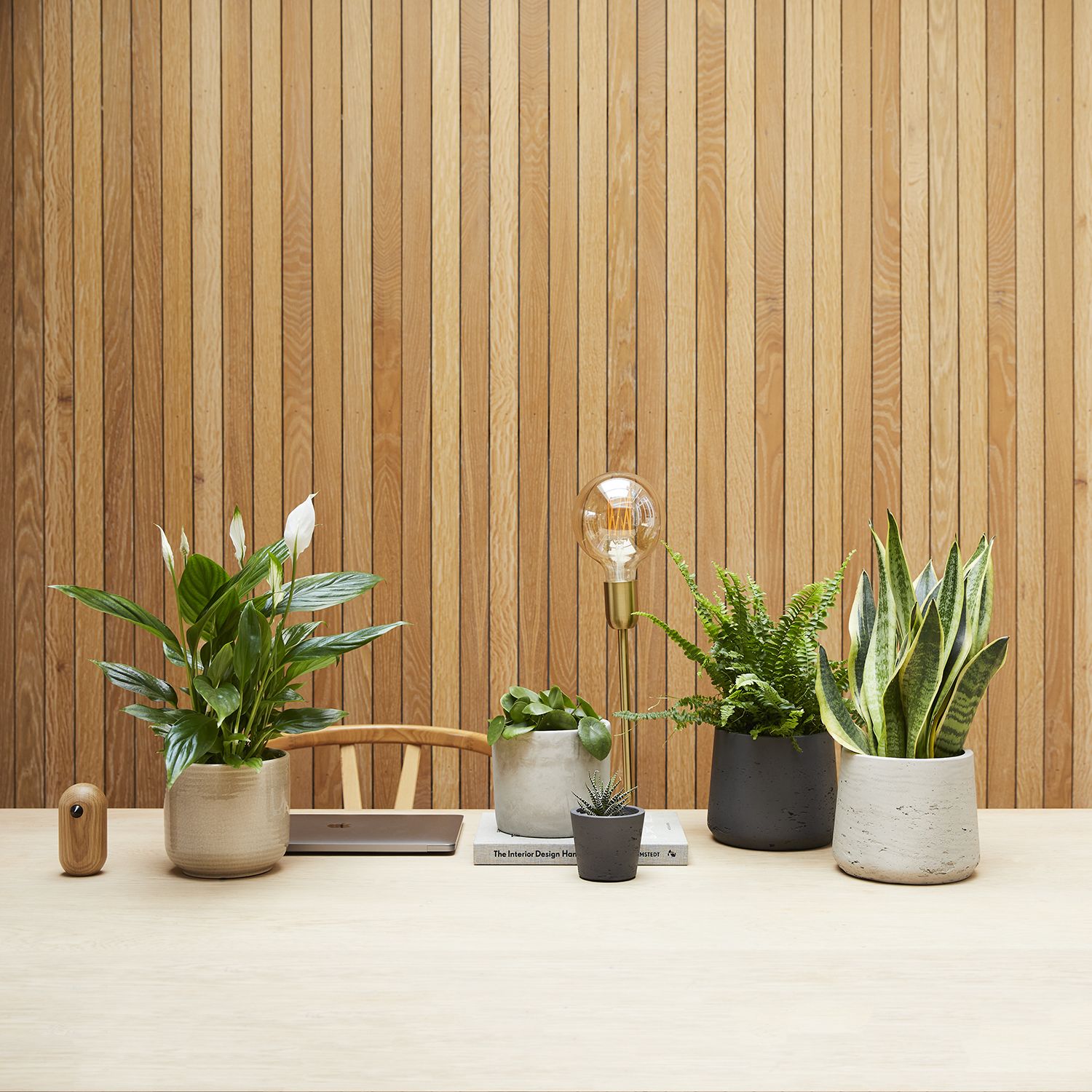 Desktop set