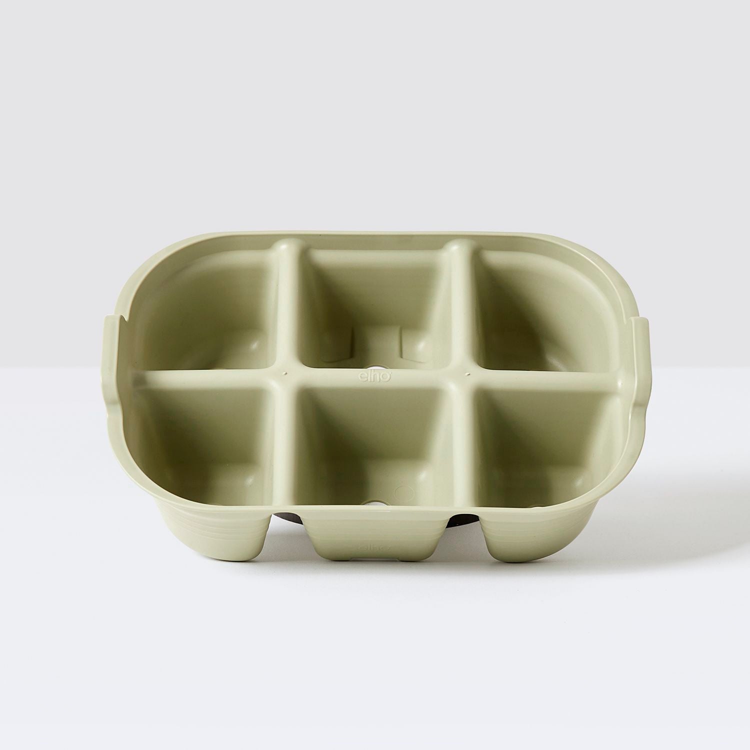 Seed tray