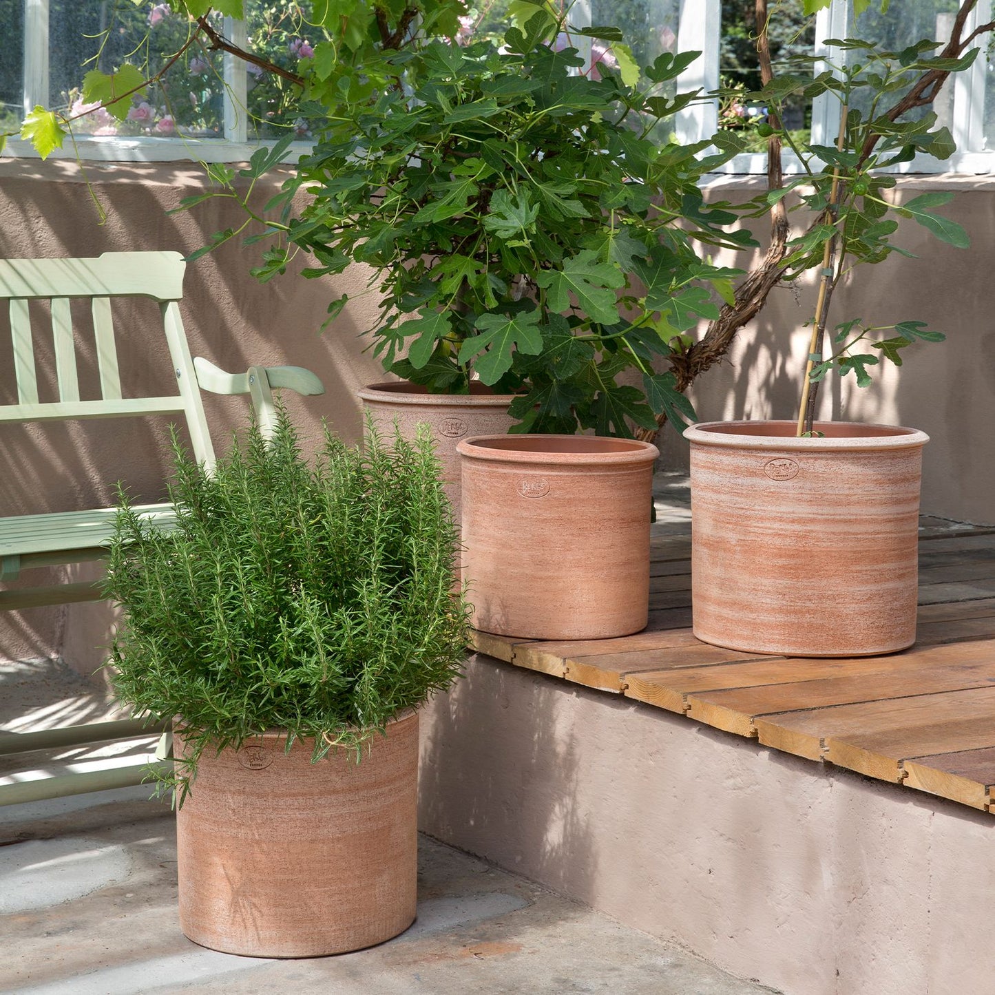 Modena terracotta pot