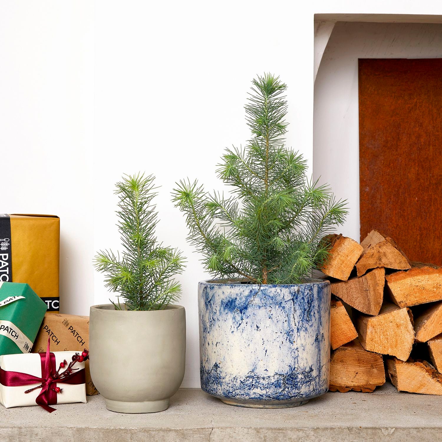 Mini Christmas tree