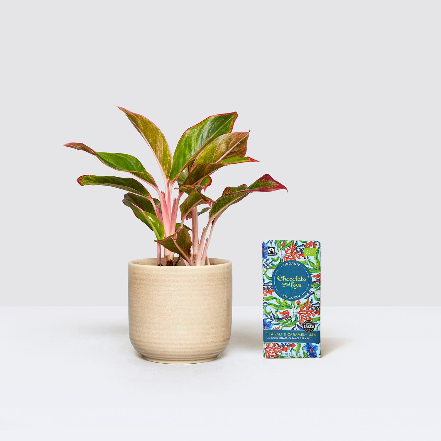 Aggie, pot & chocolate