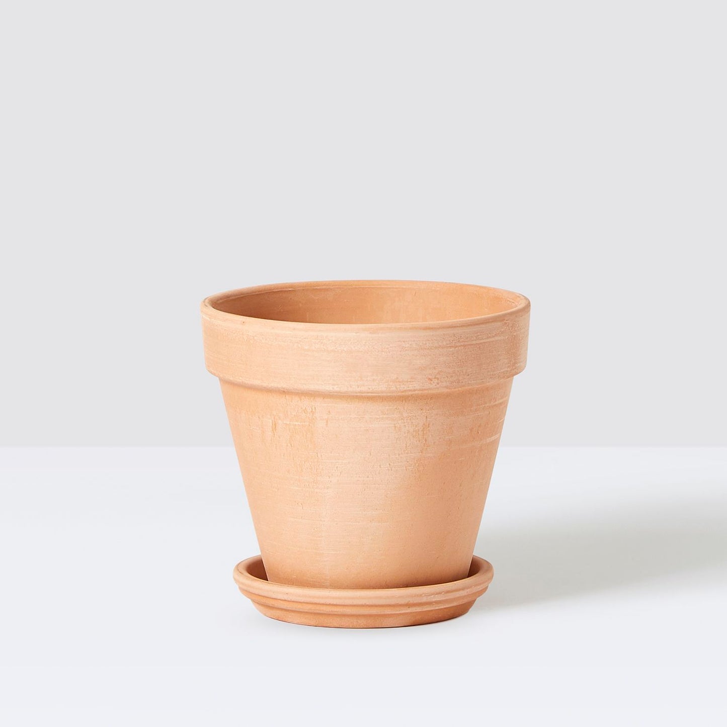 [Replacement] Terracotta Saucer (Standard Pot)