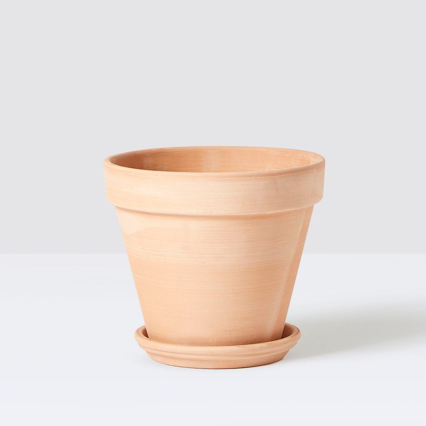 [Replacement] Terracotta Saucer (Standard Pot)