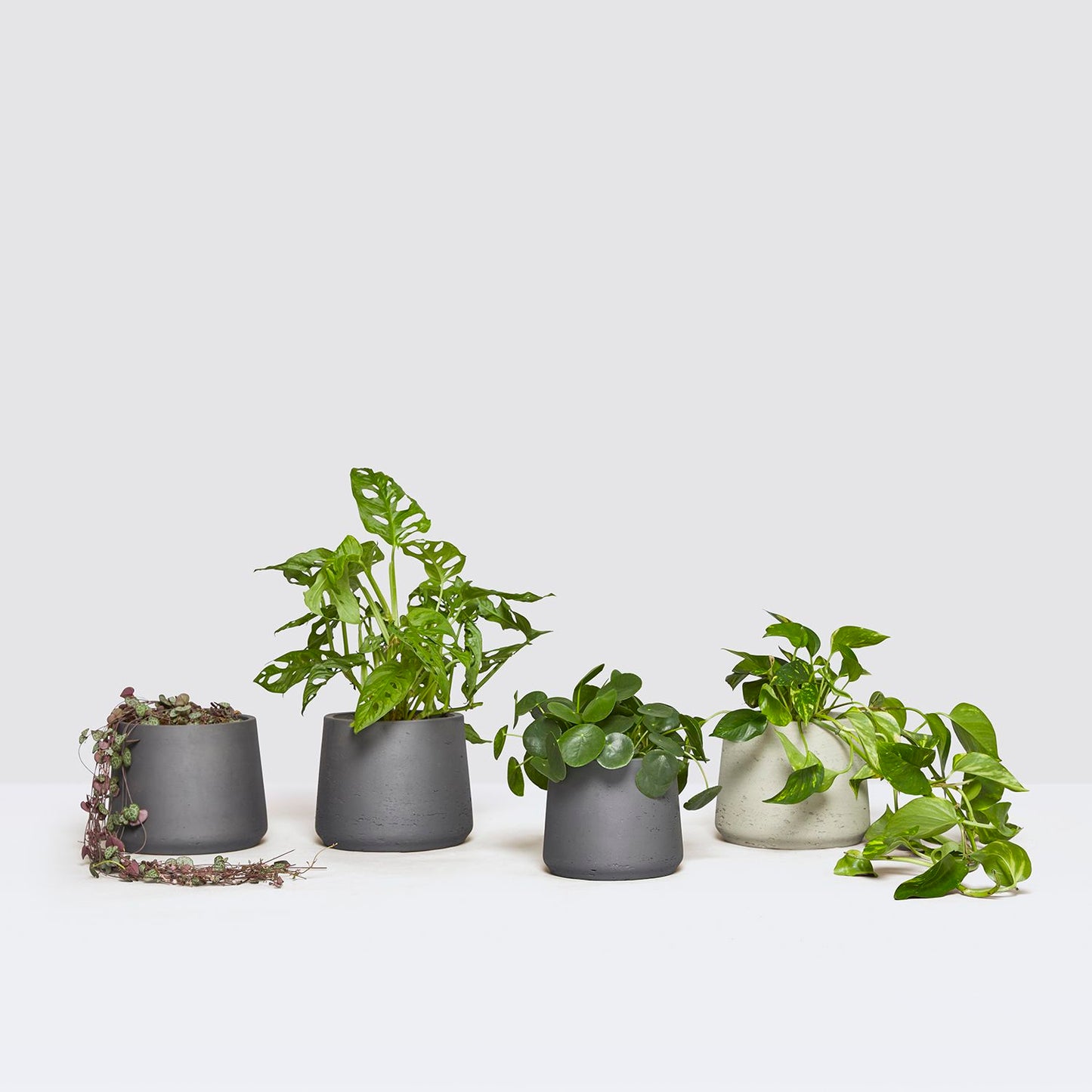 Fast growing set