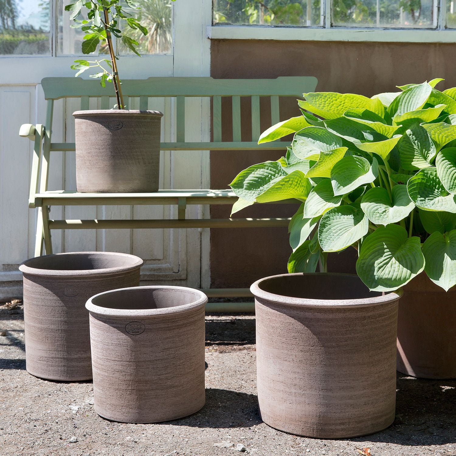 Modena terracotta pot