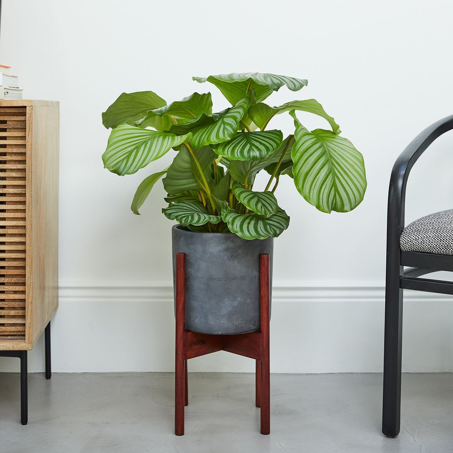 Concrete pot