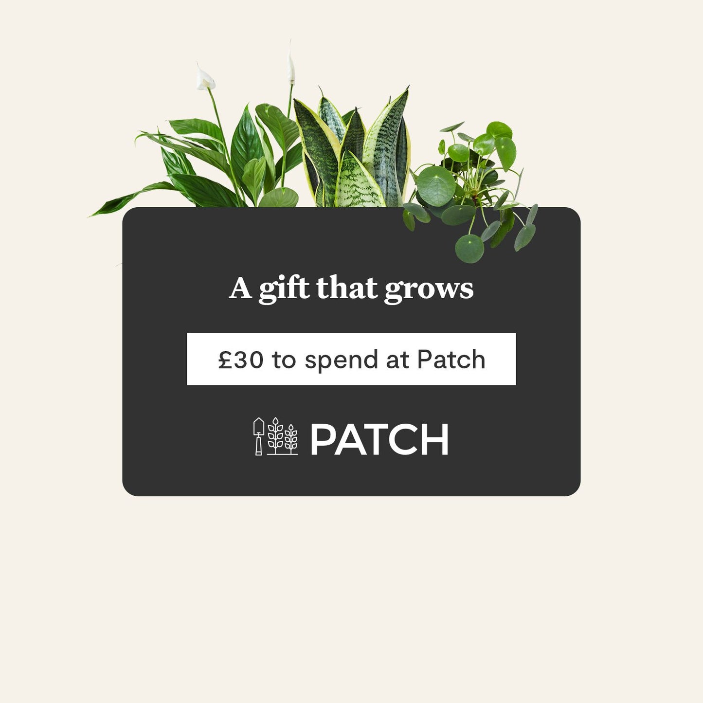 E-gift card