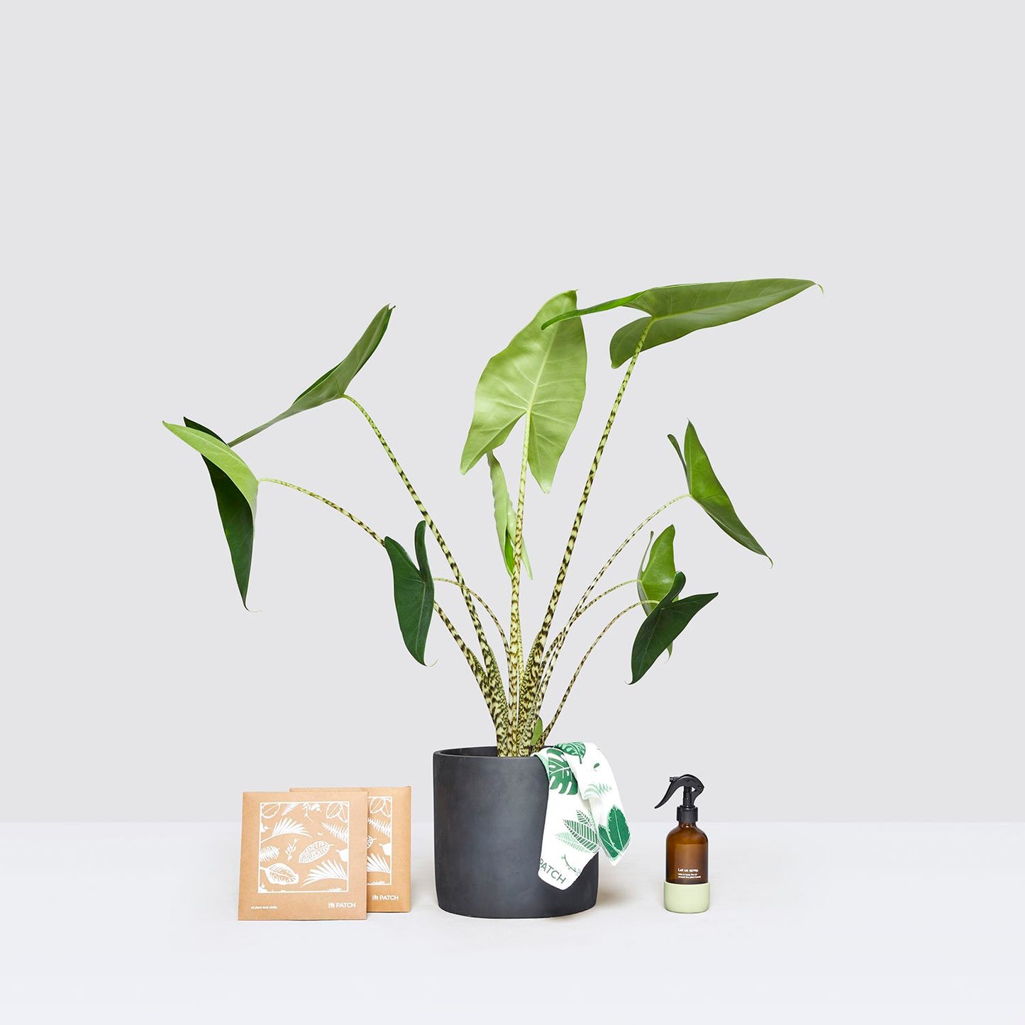 Zabrina, pot, mister & dust cloths