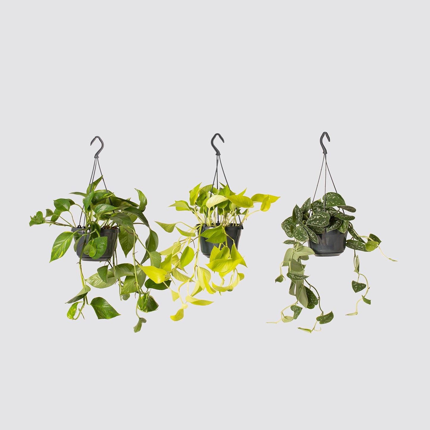 Hanging set