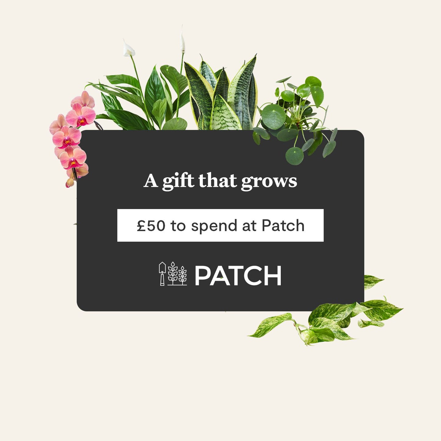 E-gift card
