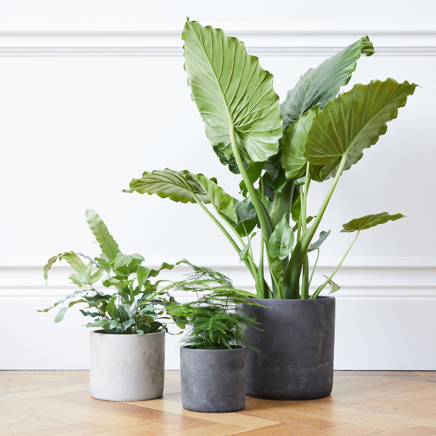 Concrete pot