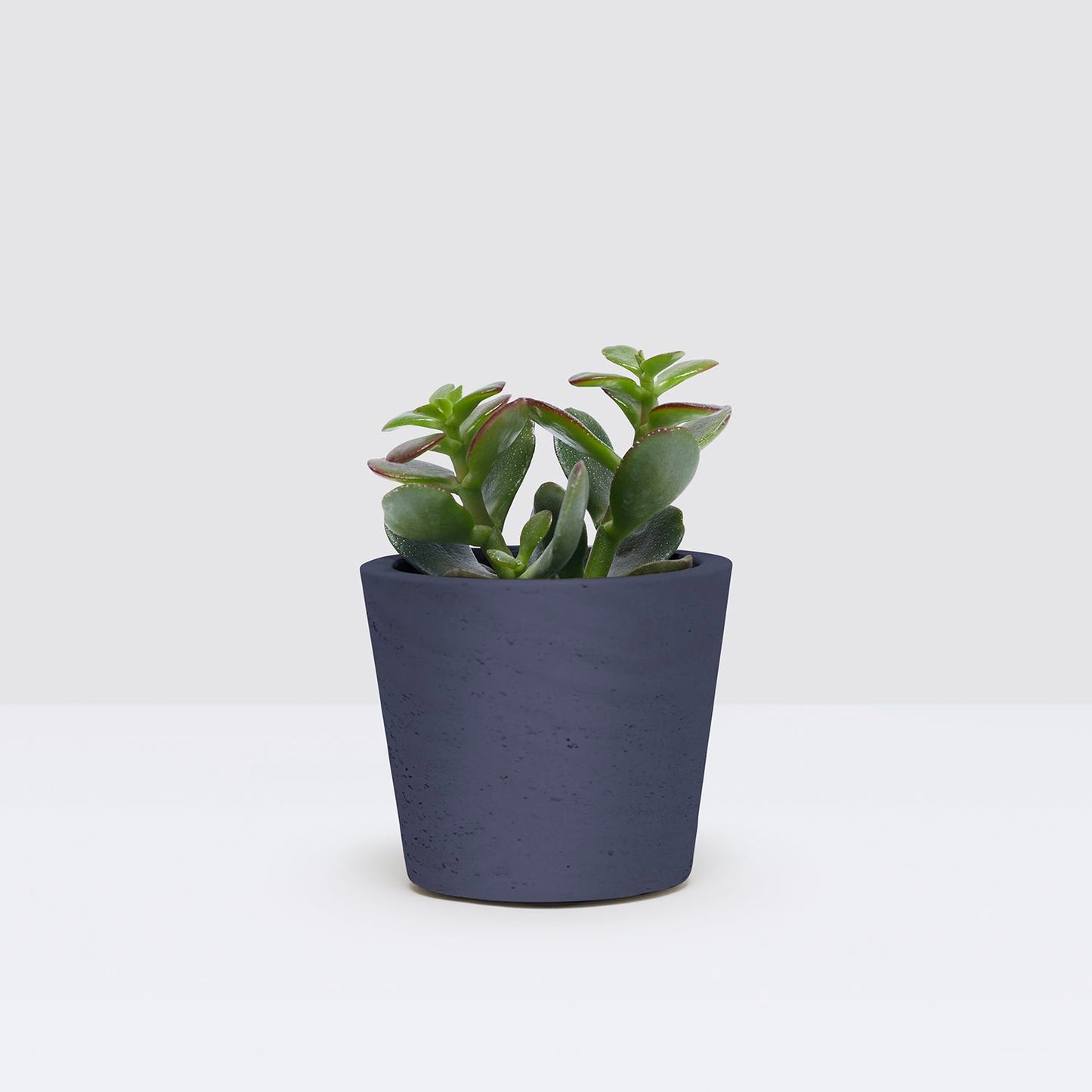 Clay pot